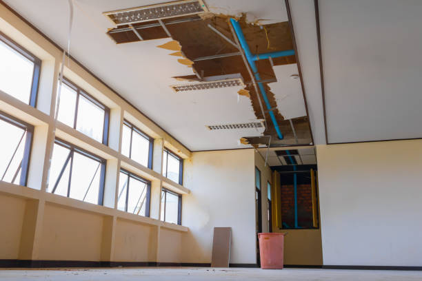 Best Local water damage restoration  in Douglas, GA