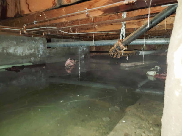Best Fire Damage Restoration  in Douglas, GA