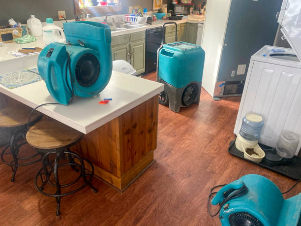 Best Water damage restoration cost  in Douglas, GA