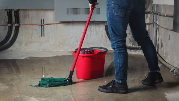 Best Water damage restoration near me  in Douglas, GA