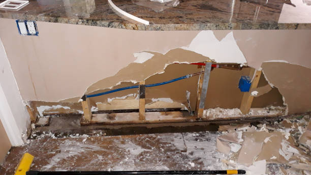 Best Water damage contractors near me  in Douglas, GA